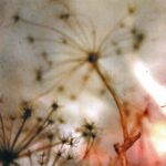 All The Pretty Things album cover
