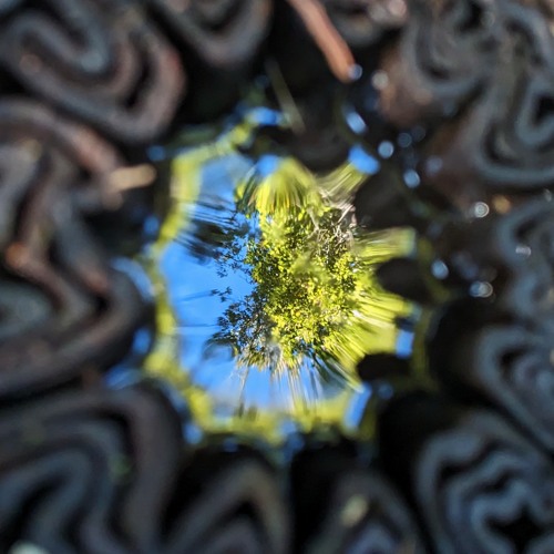 DJ Birdbath avatar from Soundcloud